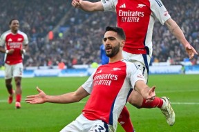 阿森纳主场大捷，球员赛后激动庆祝胜利，认为大家谢谢.